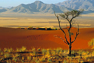 Viaje a Namibia en 2024 con Viajes Viatamundo