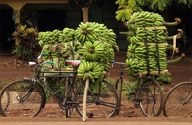viajes tanzania bicicletas 1