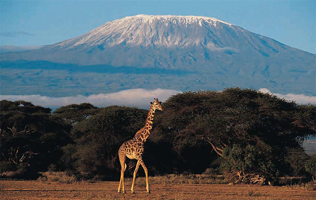 Viajes Kenia Tanzania 2024