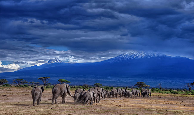 viajes tanzania kilimanjaro 3