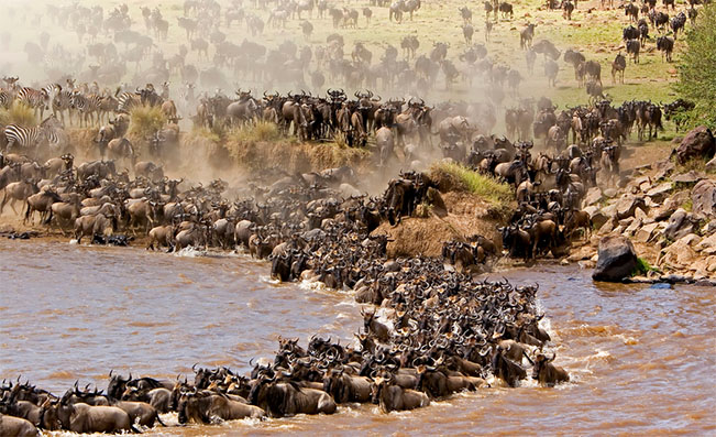 viajes kenia masai mara 4
