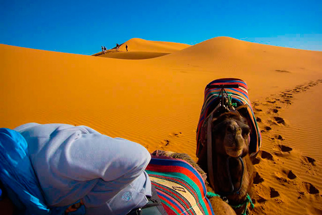 Viajes Marruecos Navidad y Fin de Año 2023