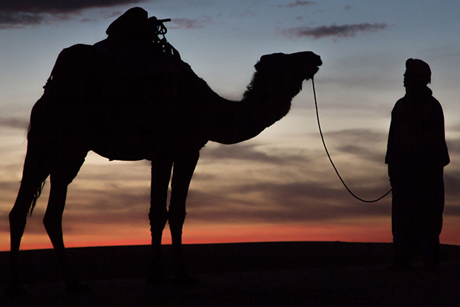 viajes marruecos erg chebbi camello 02