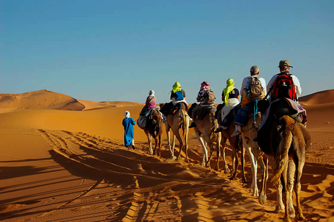 viajes marruecos erg chebbi camello
