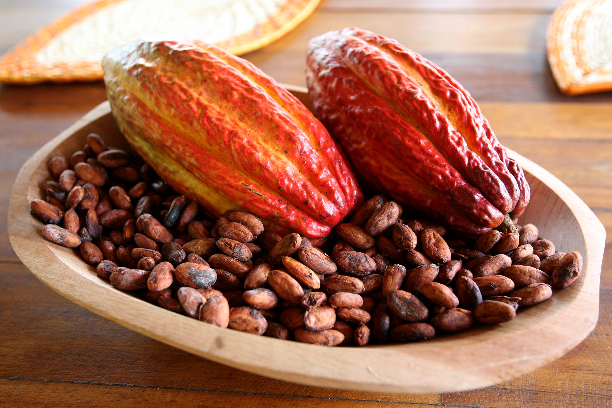 viajes brasil cacao 1