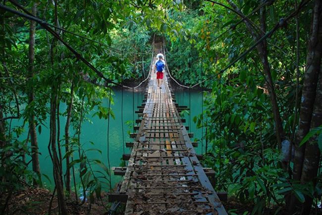 viajes costa rica monteverde puente colgante