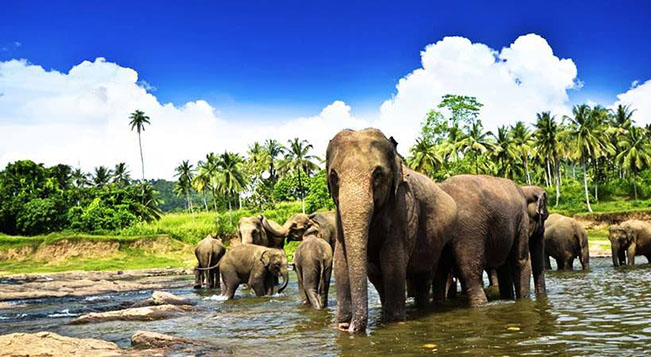 viajes Sri lanka 2023