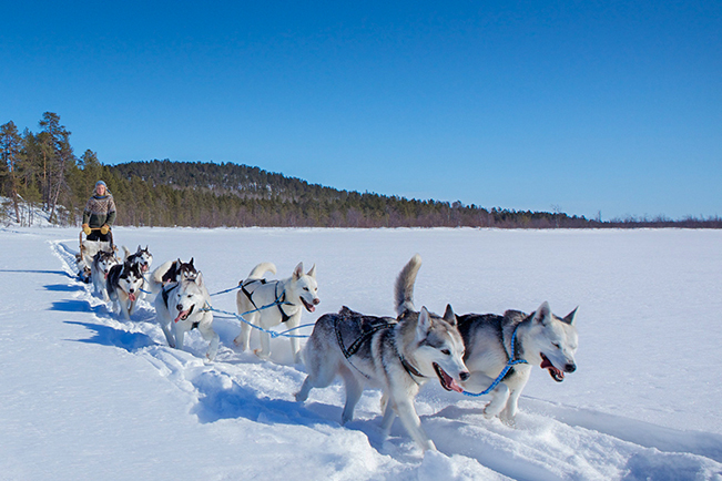 Viajes Laponia Invierno 2023 y 2023
