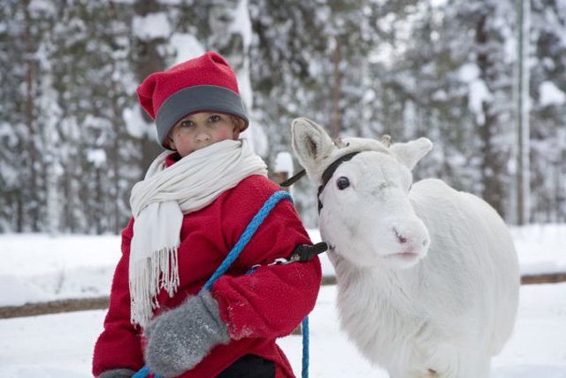 Viajes Laponia Navidad y Fin de Año 2023 y 2024