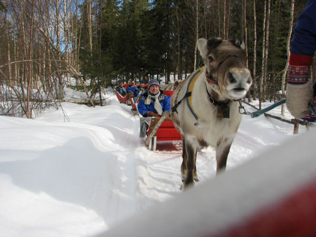 Viajes Laponia Invierno 2023 y 2023