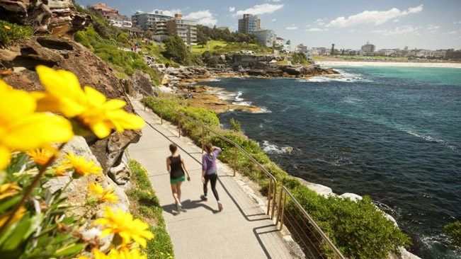 viajes australia Coogee a Bondi paseo por la costa Sydney