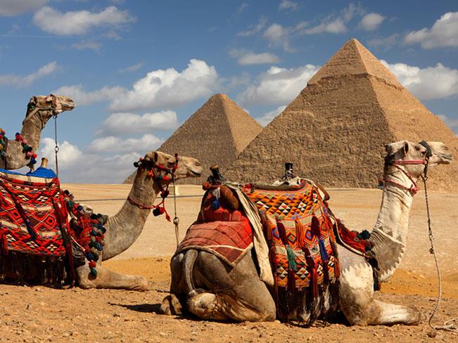 Visitas Egipto 2023