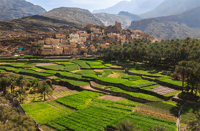 Viajes Oman 2024