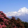 viajes_nepal_21