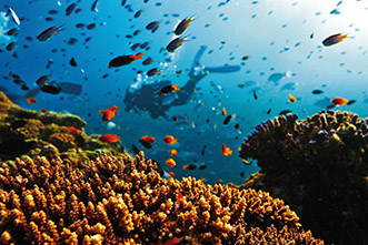 Viajes Australia 2022: Gran Barrera de Coral Viaje a Australia - Cairns
