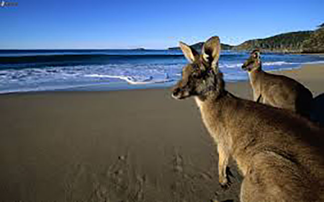 Viajes Australia Octubre 2022: Viaje a Australia Octubre con guía