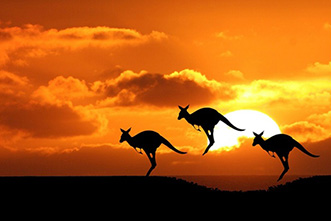 Viajes Australia 2024 y 2025: Viaje a Australia Melbourne, Cairns, Sydney y final en la Isla Hamilton 15 días