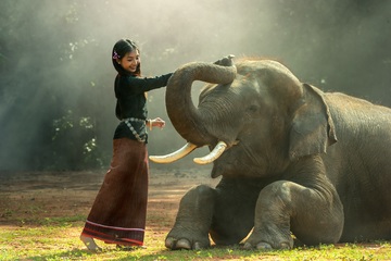 Viajes Camboya 2023: Viaje Camboya en grupo 10 días