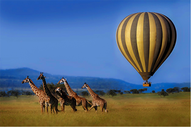 viajes kenia masai mara globo