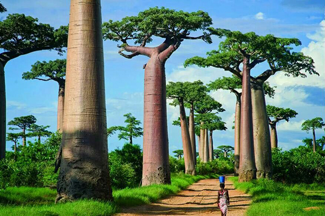 Viajes Madagascar 2023