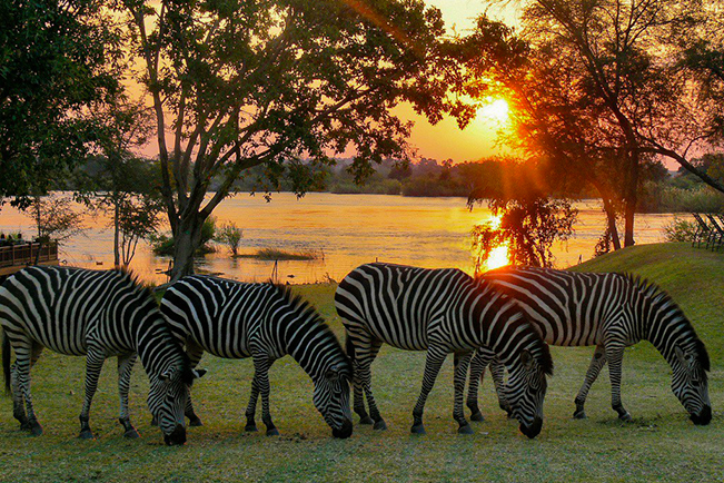viajes zambia parque nacional bajo zambezi 3