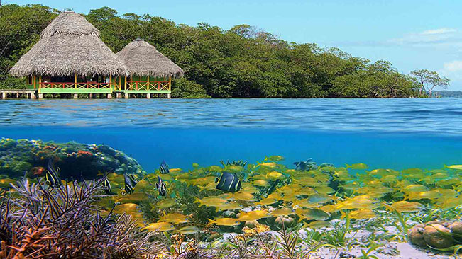 Viajes Costa Rica y Panamá 2023