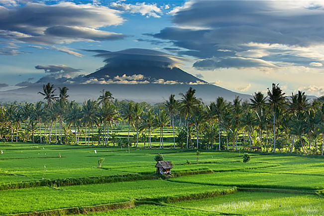 viajes indonesia ubud