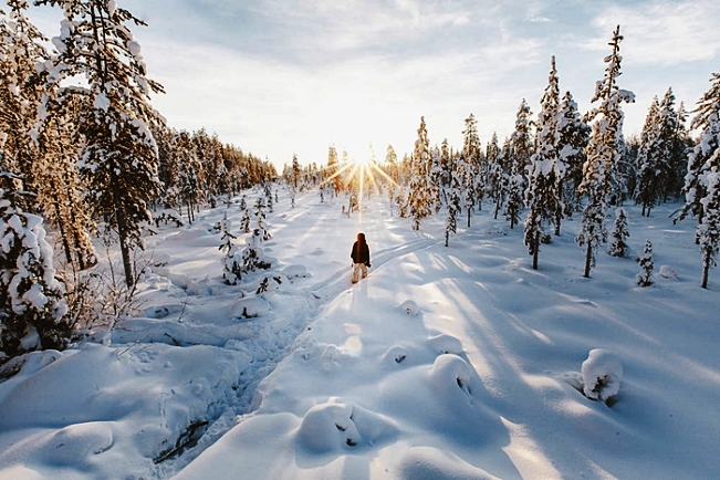 Viajes Laponia Navidad y Fin de Año 2021