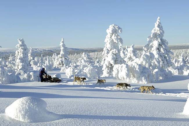 Viajes Laponia Finlandia 2022