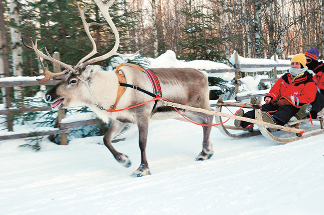 Viajes Laponia Navidad y Fin de Año 2023