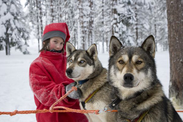 Viajes Laponia Navidad y Fin de Año 2023