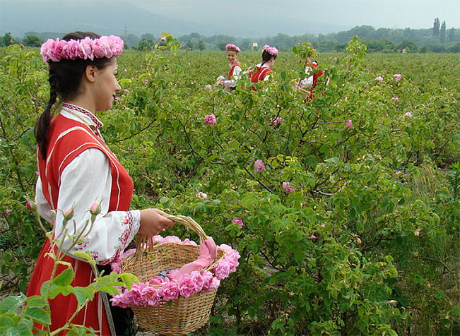 viajes bulgaria kazanlak festival de la rosa