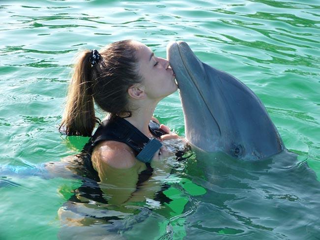 viajes egipto delfin amistoso