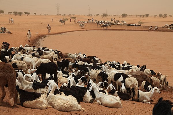 viaje_a_sudan_27