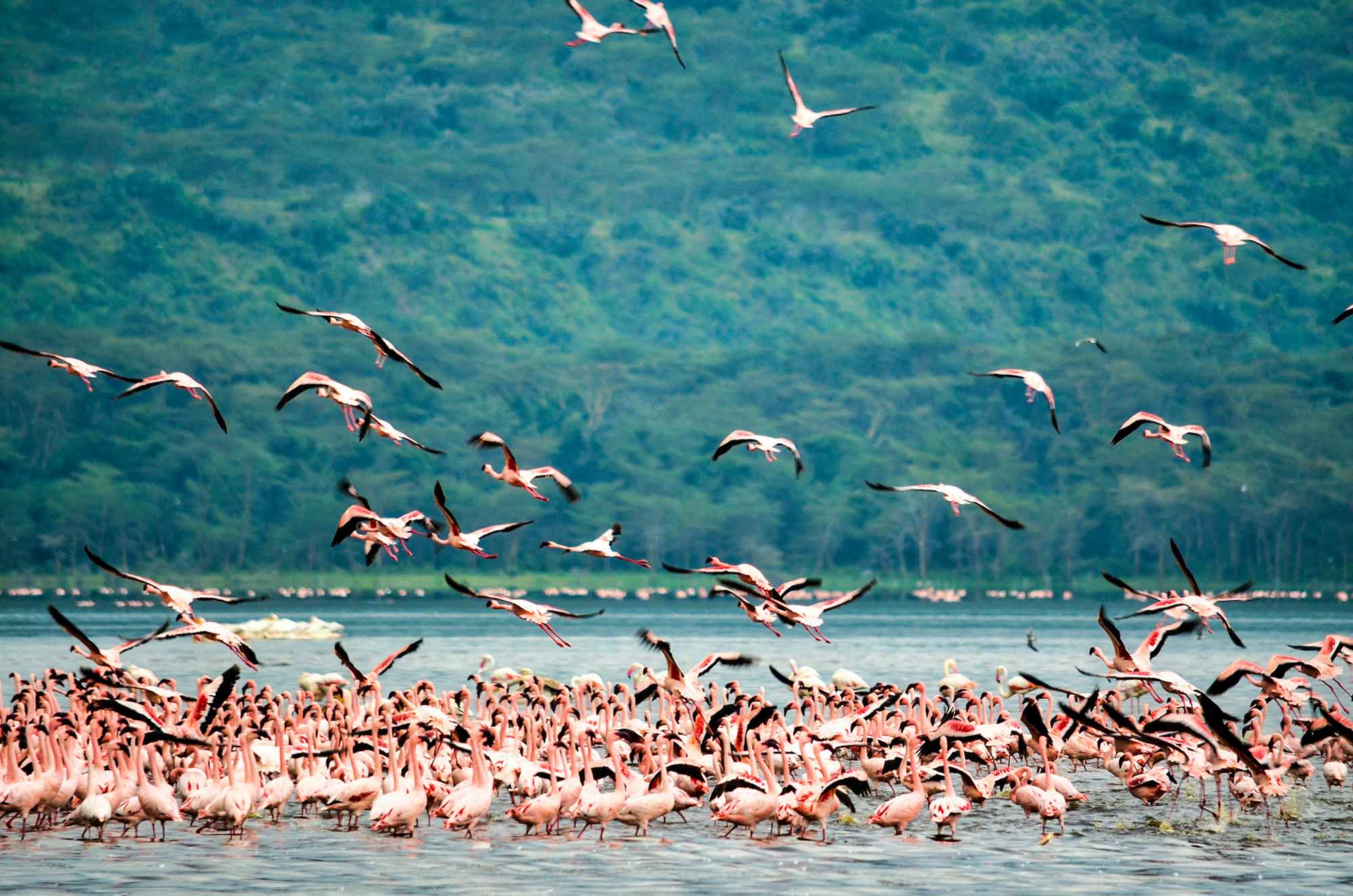 Viaje en grupo a Kenia 2025 con guía en castellano