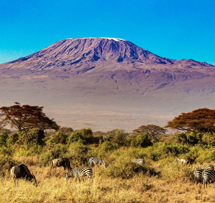 Kenia, Vista del Kilimanjaro