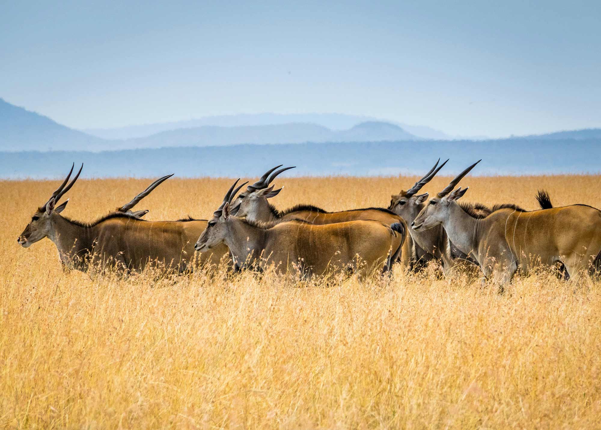 Viaje en grupo a Kenia 2025 con guía en castellano