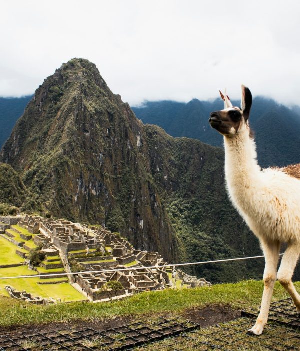 Viajes a Perú