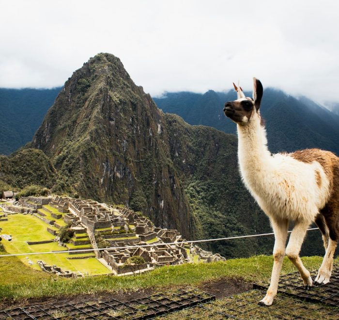 Viajes a Perú