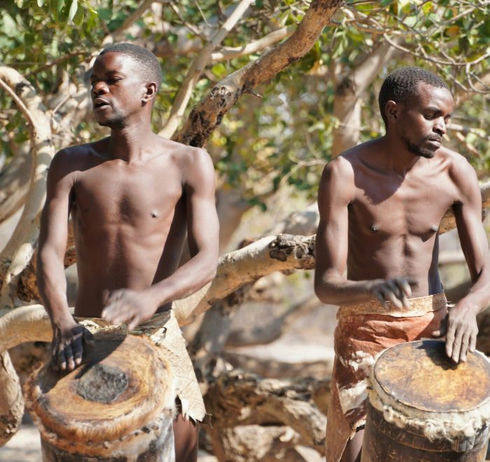 Viajes a Botswana