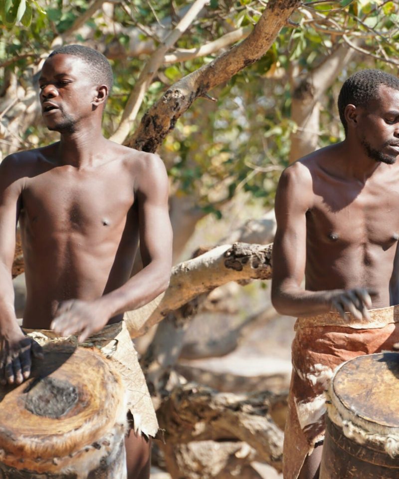 Viajes a Botswana
