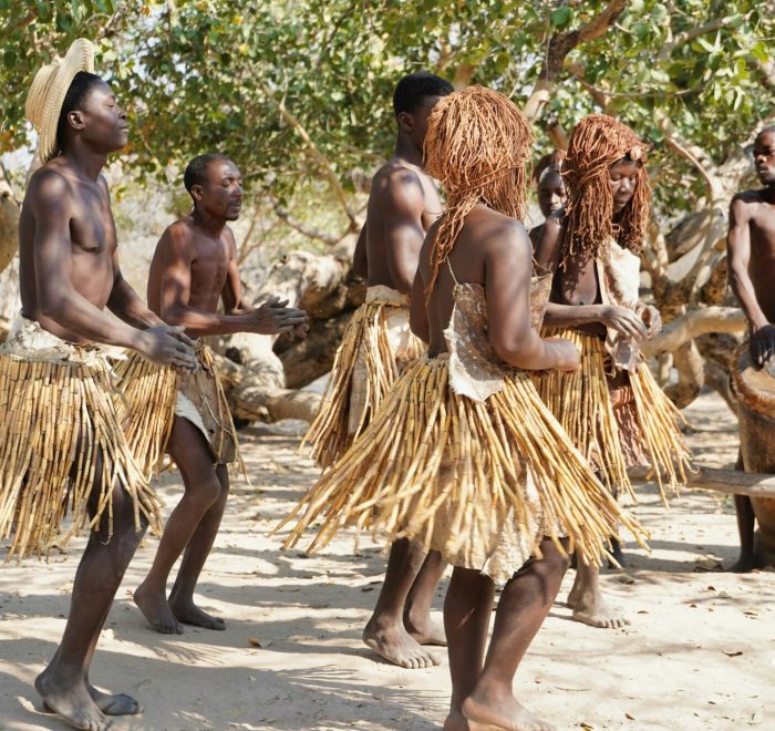 Viajes a Botswana