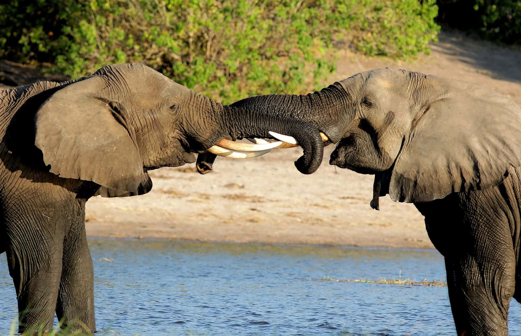 Viaje en grupo a Kenia 2025 con guía en castellano