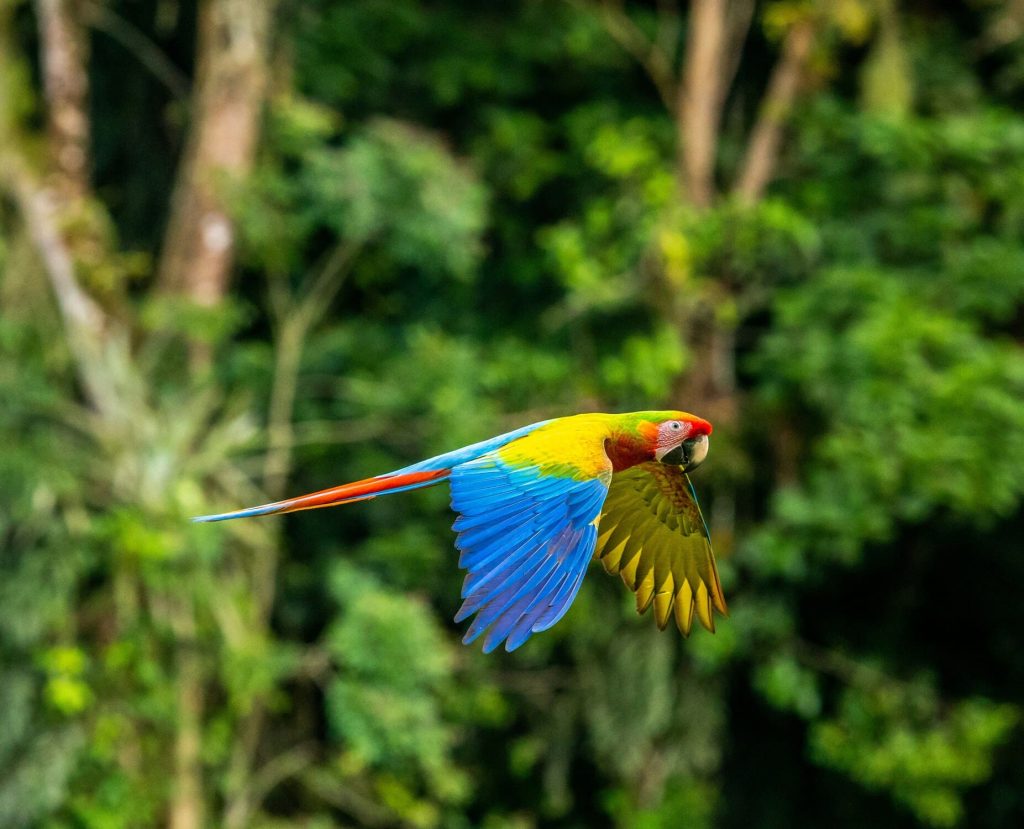 Viajes a Costa Rica
