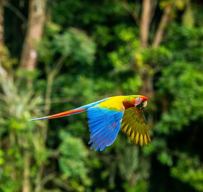 Viajes a Costa Rica