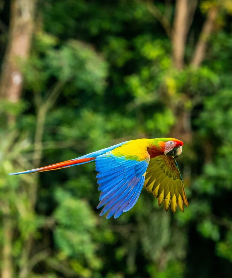 Viajes a Costa Rica