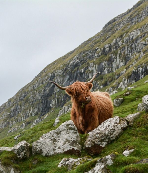 Viajes a Escocia