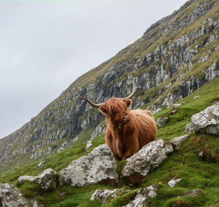 Viajes a Escocia