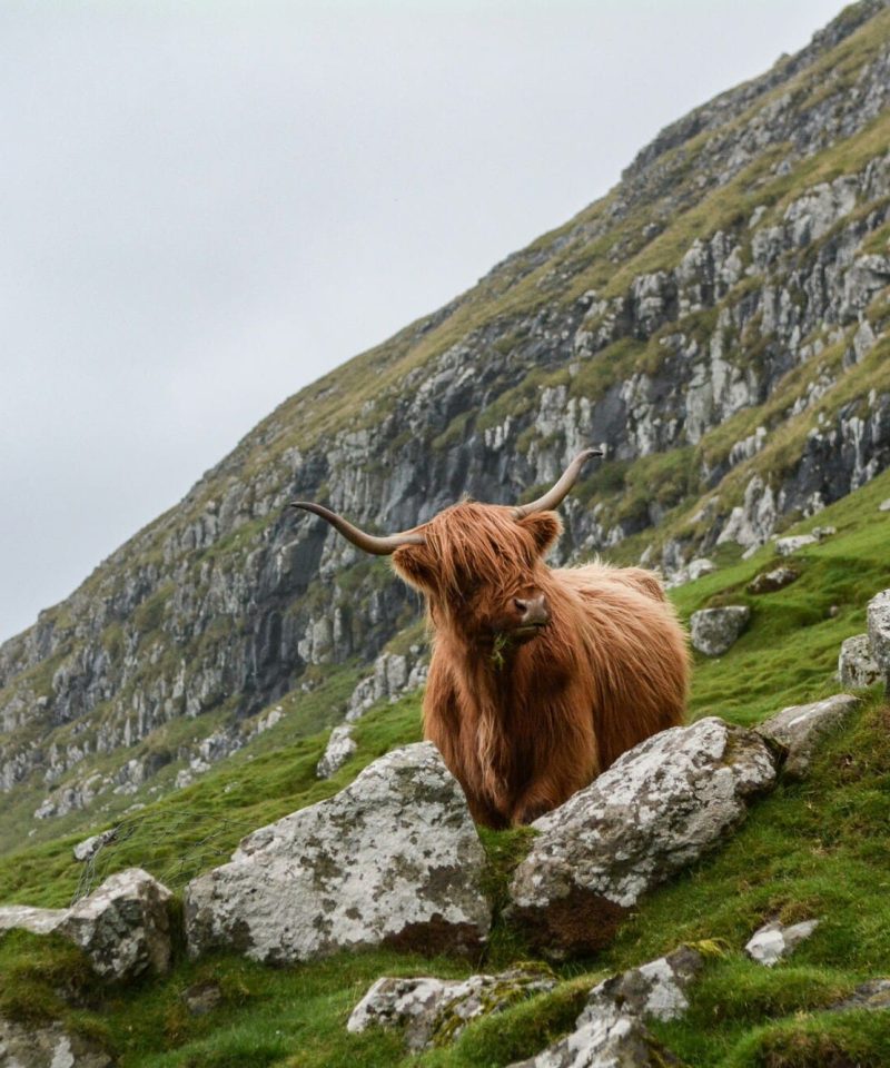 Viajes a Escocia