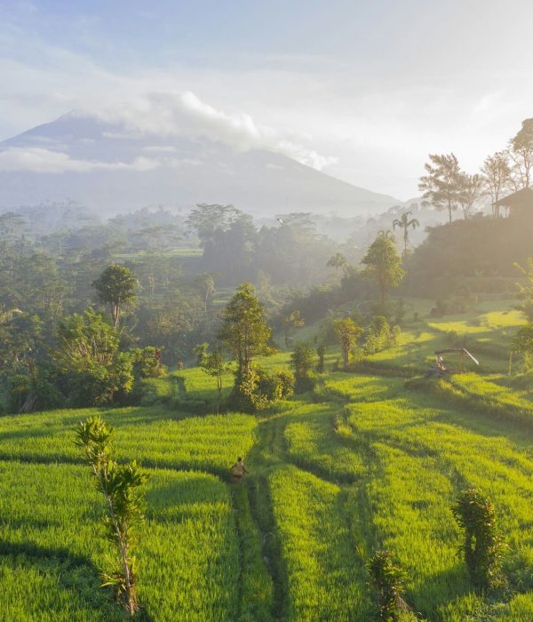 Viajes a Indonesia